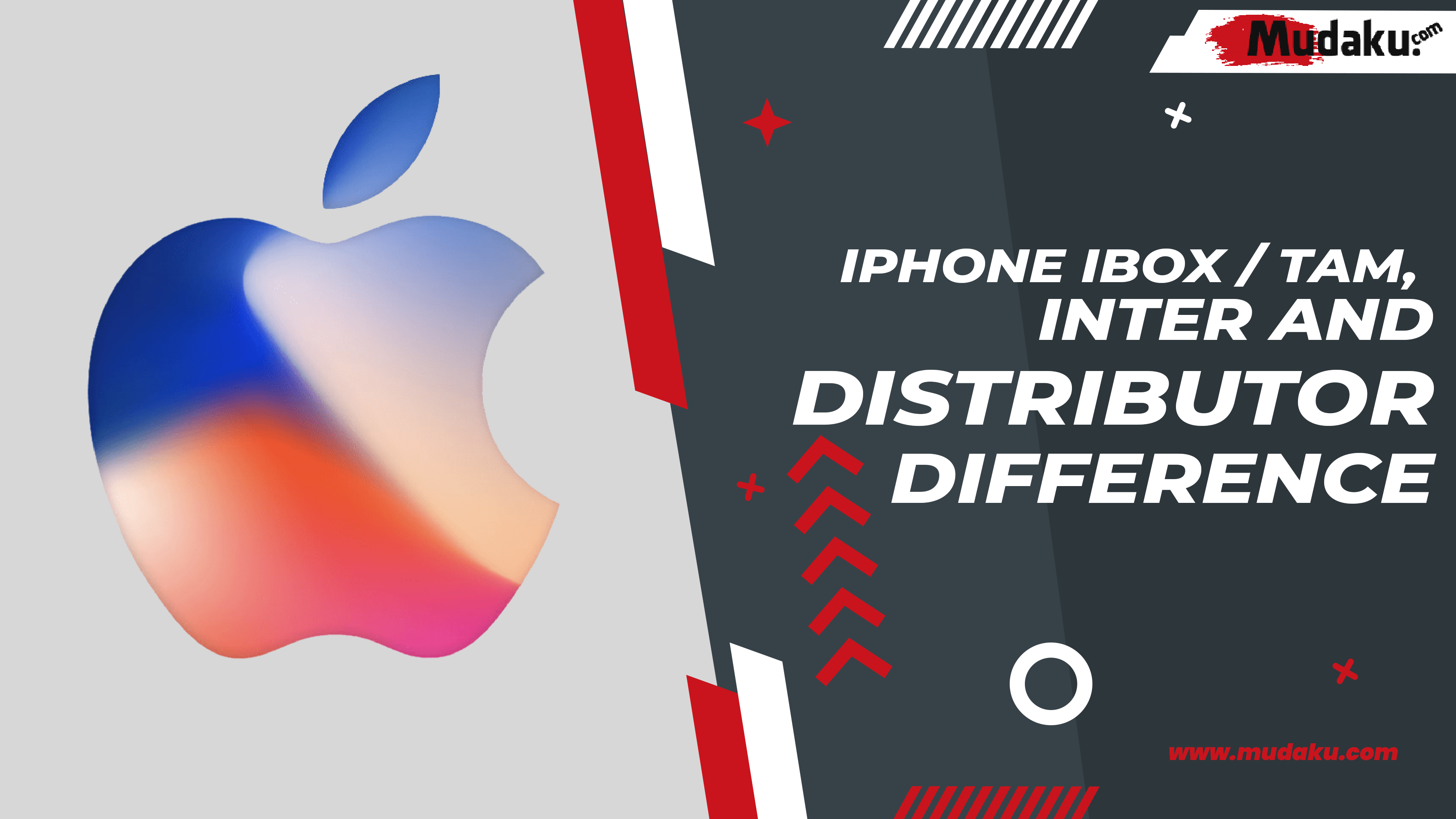 iPhone iBox / TAM, Inter, and Distributor Diferrence